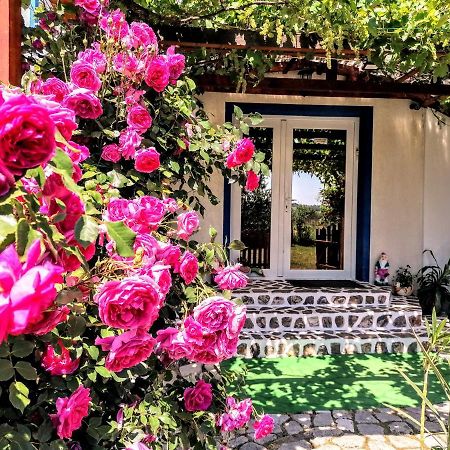Teo Guest Rooms Беїле-Фелікс Екстер'єр фото