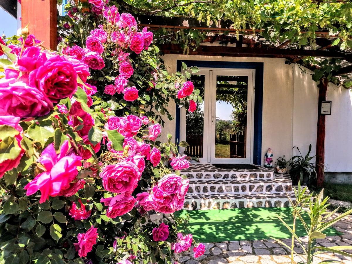 Teo Guest Rooms Беїле-Фелікс Екстер'єр фото
