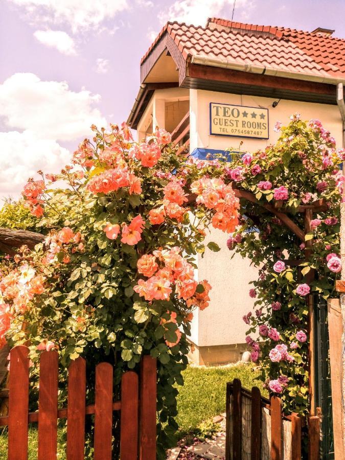 Teo Guest Rooms Беїле-Фелікс Екстер'єр фото