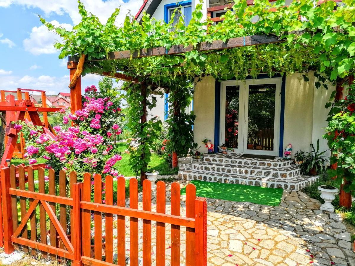 Teo Guest Rooms Беїле-Фелікс Екстер'єр фото